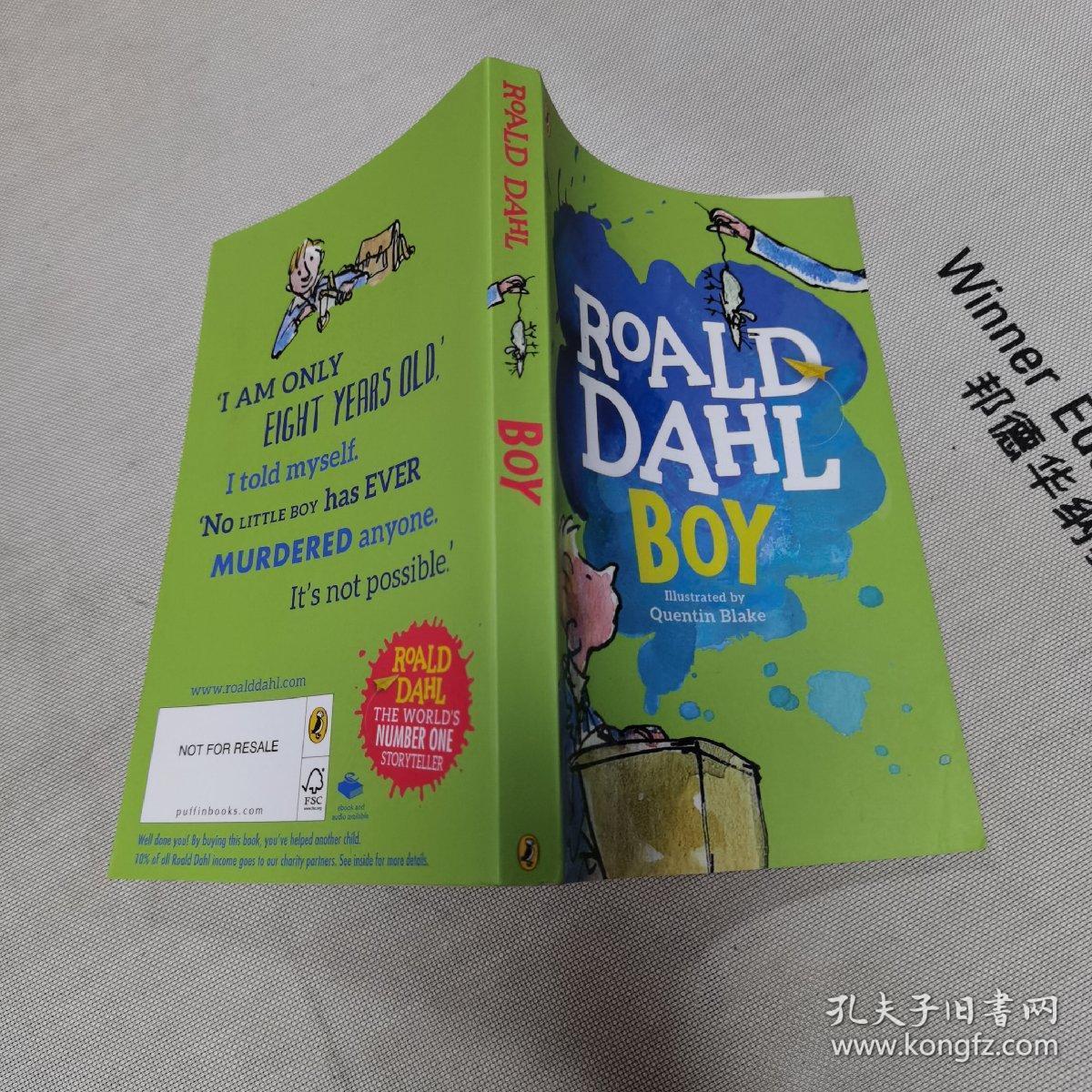 roald dahl boy