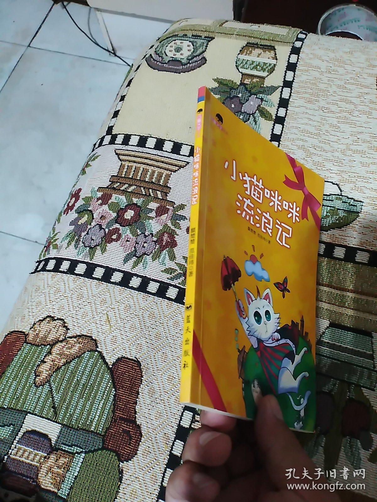 小猫咪咪流浪记