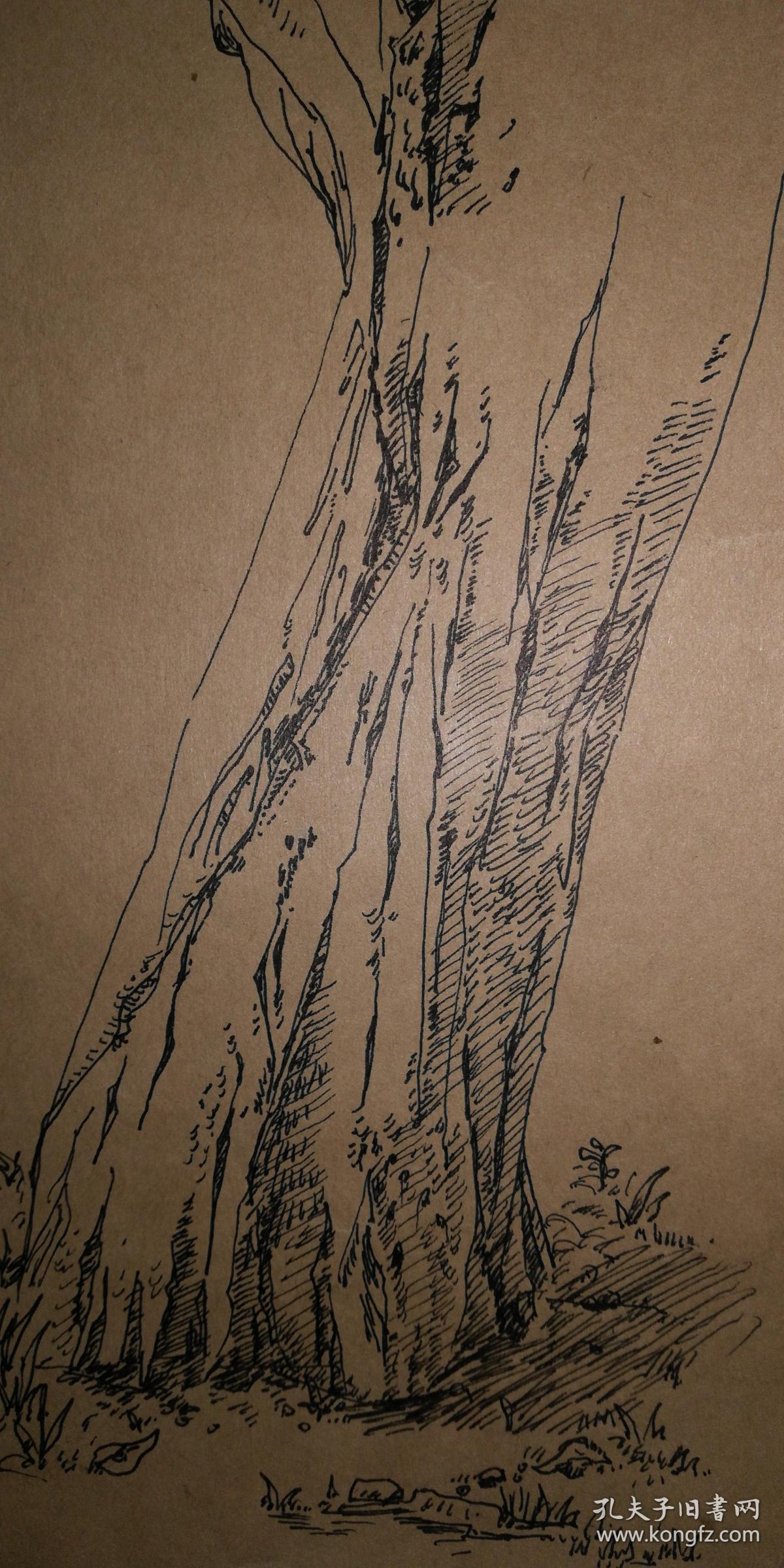 不识名钢笔速写原稿2(牛皮纸)