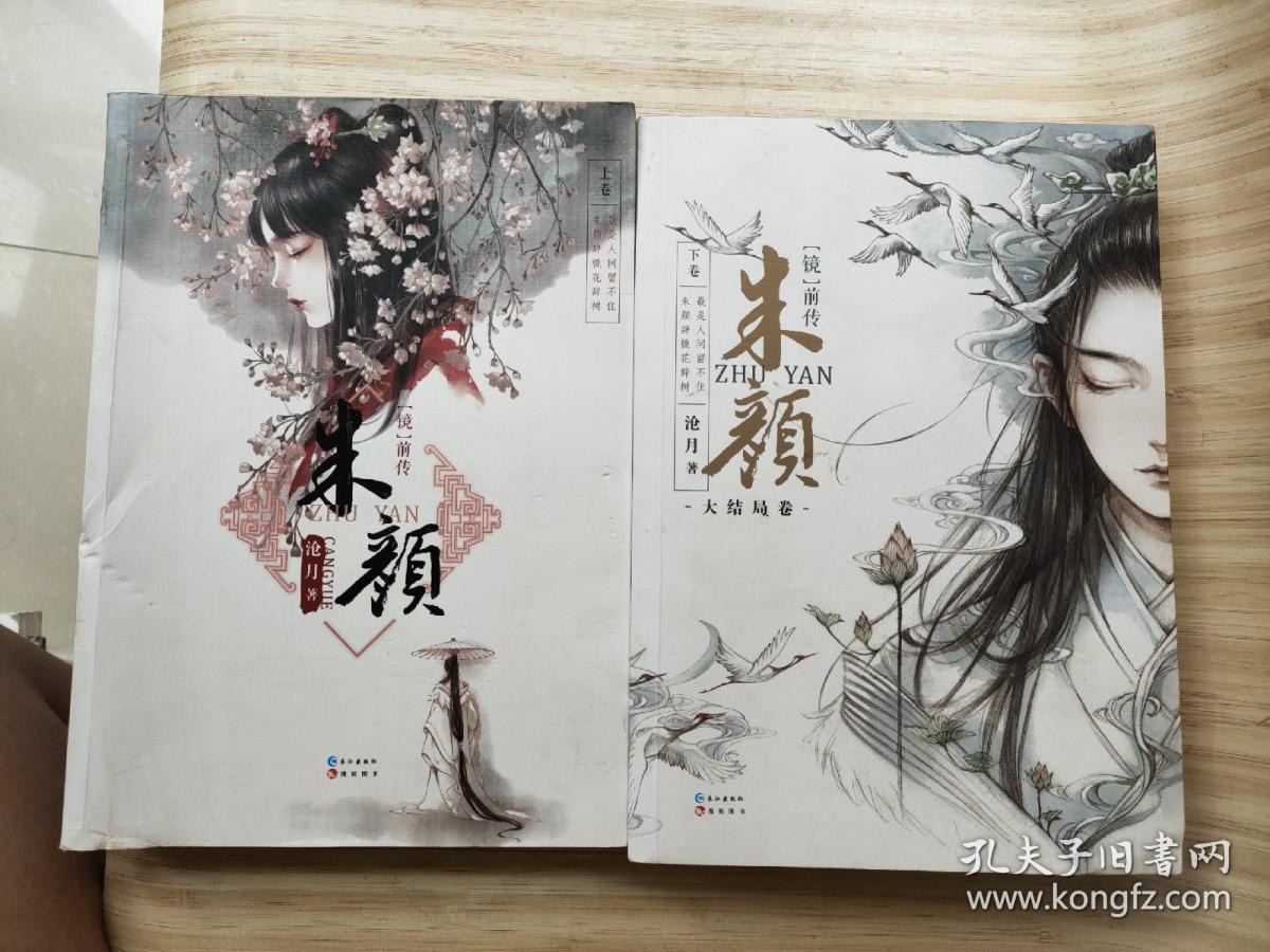 朱颜(镜)前传上下卷