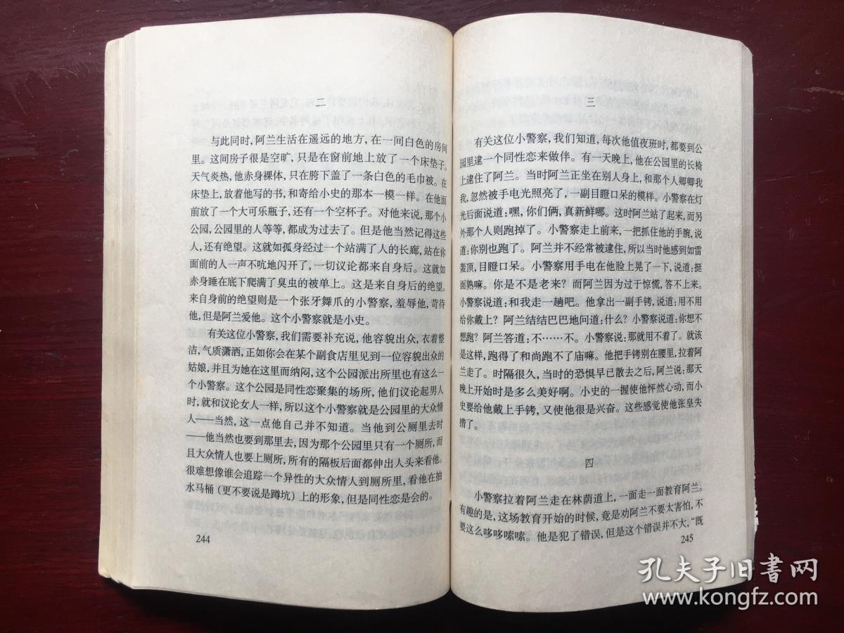 地久天长:王小波小说剧本集