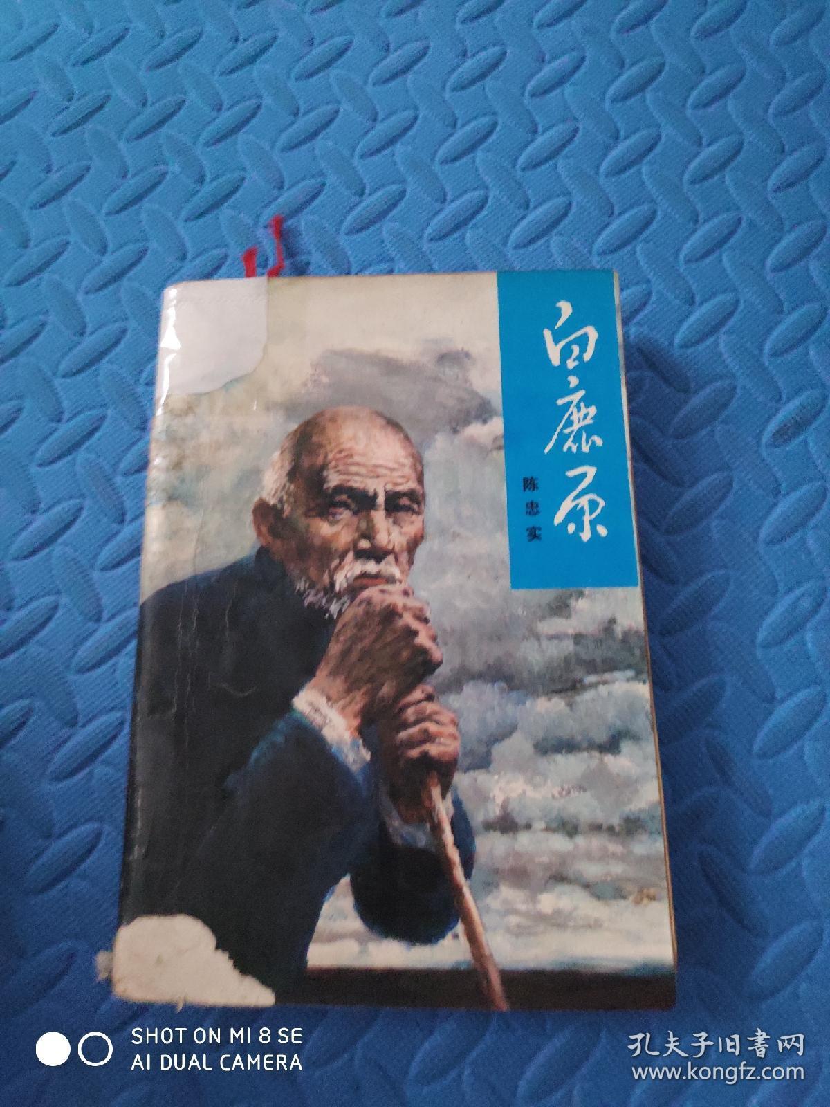 白鹿原 (1993年第一版)