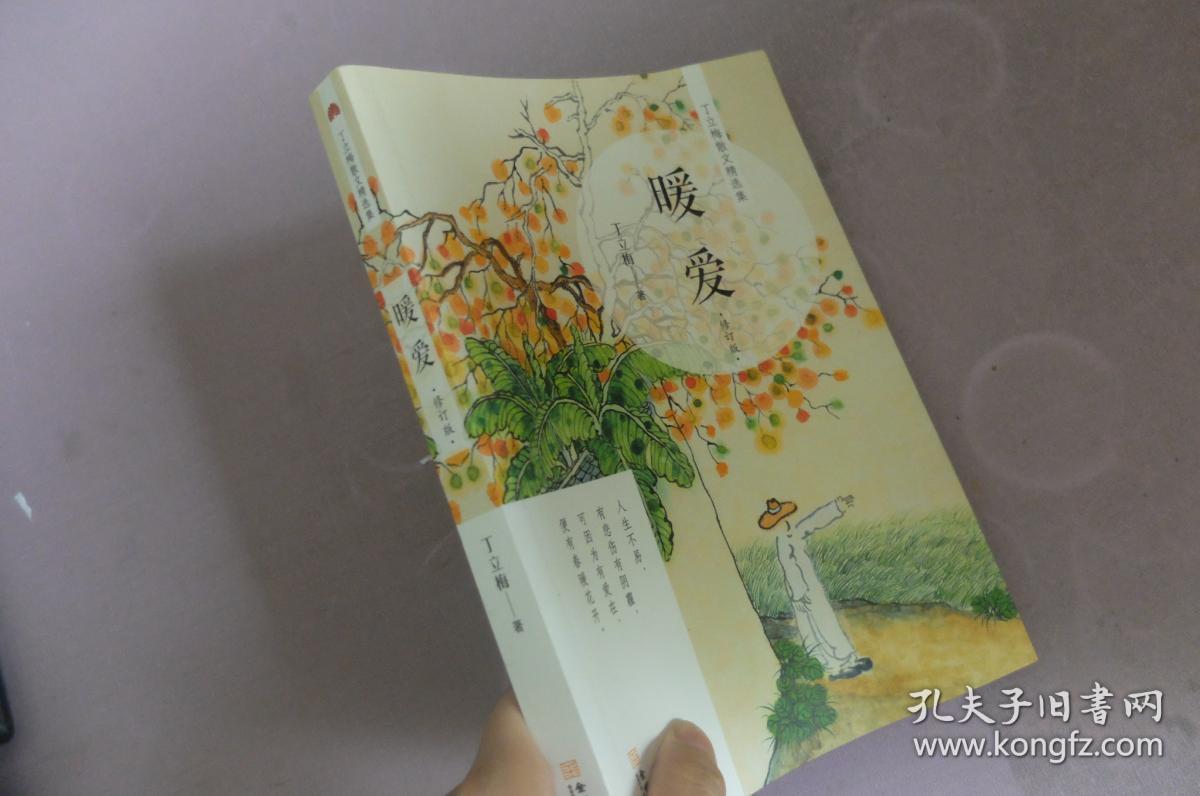 00 认证卖家担保交易快速发货售后保障 作者丁立梅 著 出版社金城出版