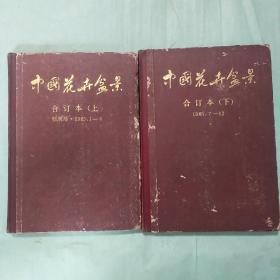 中国花卉盆景合订本上下1985.1-12