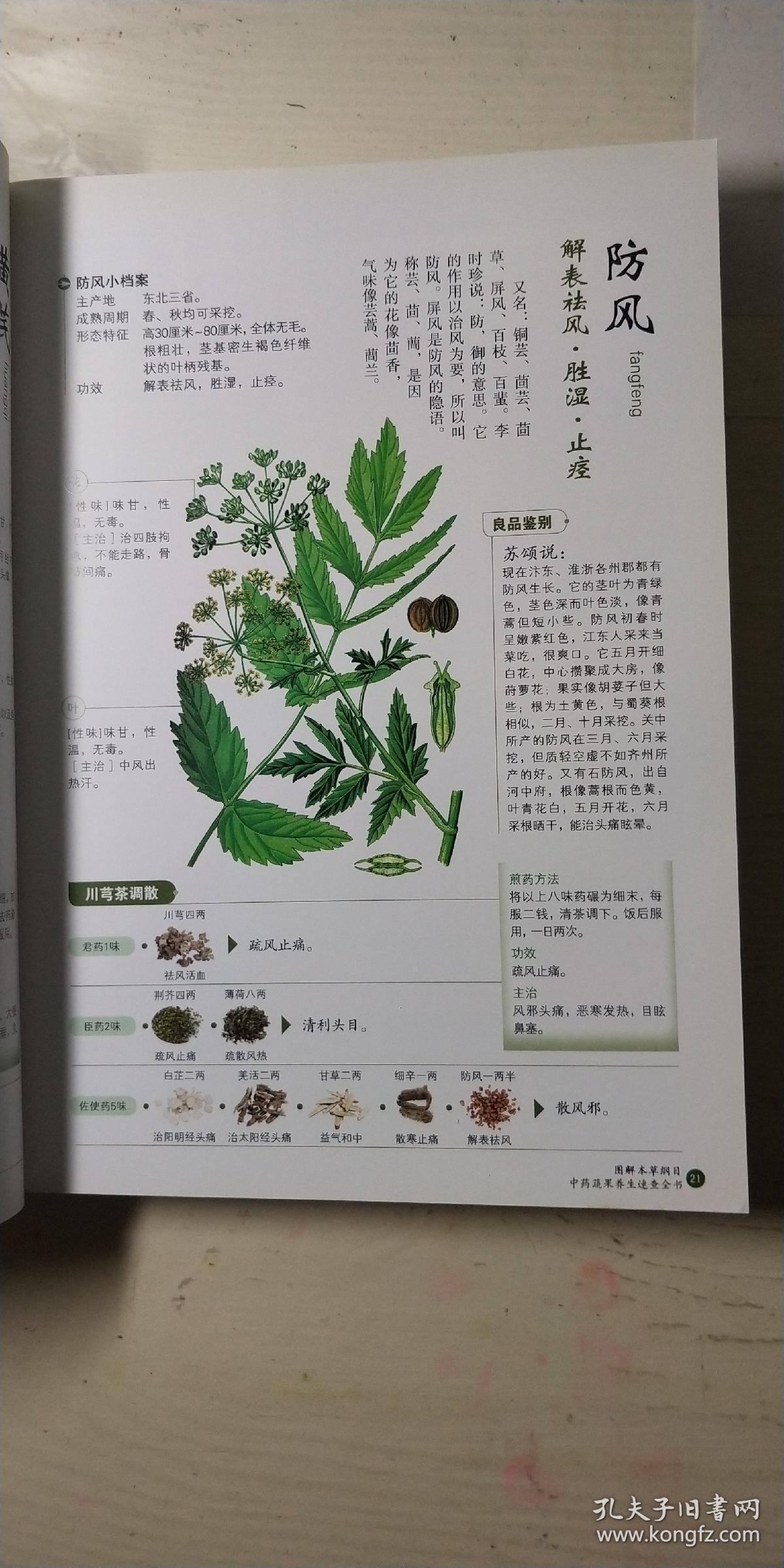 图解本草纲目中药蔬果养生速查全书