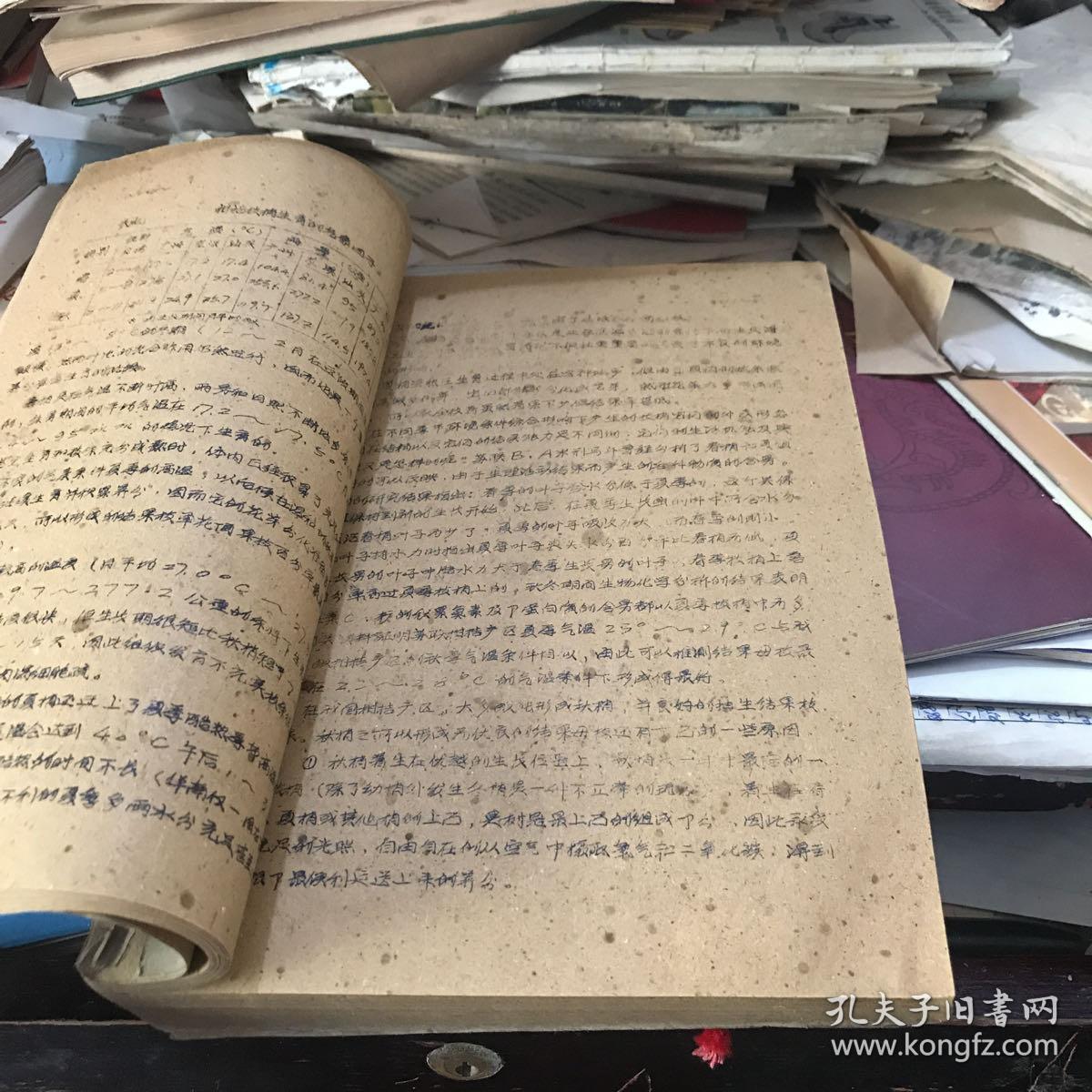 1959年共产主义劳动大学教材 森林植物学讲义 油印本