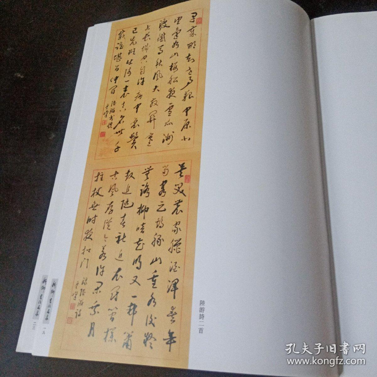 新乡书法名家作品集:周云峰 有勘误表