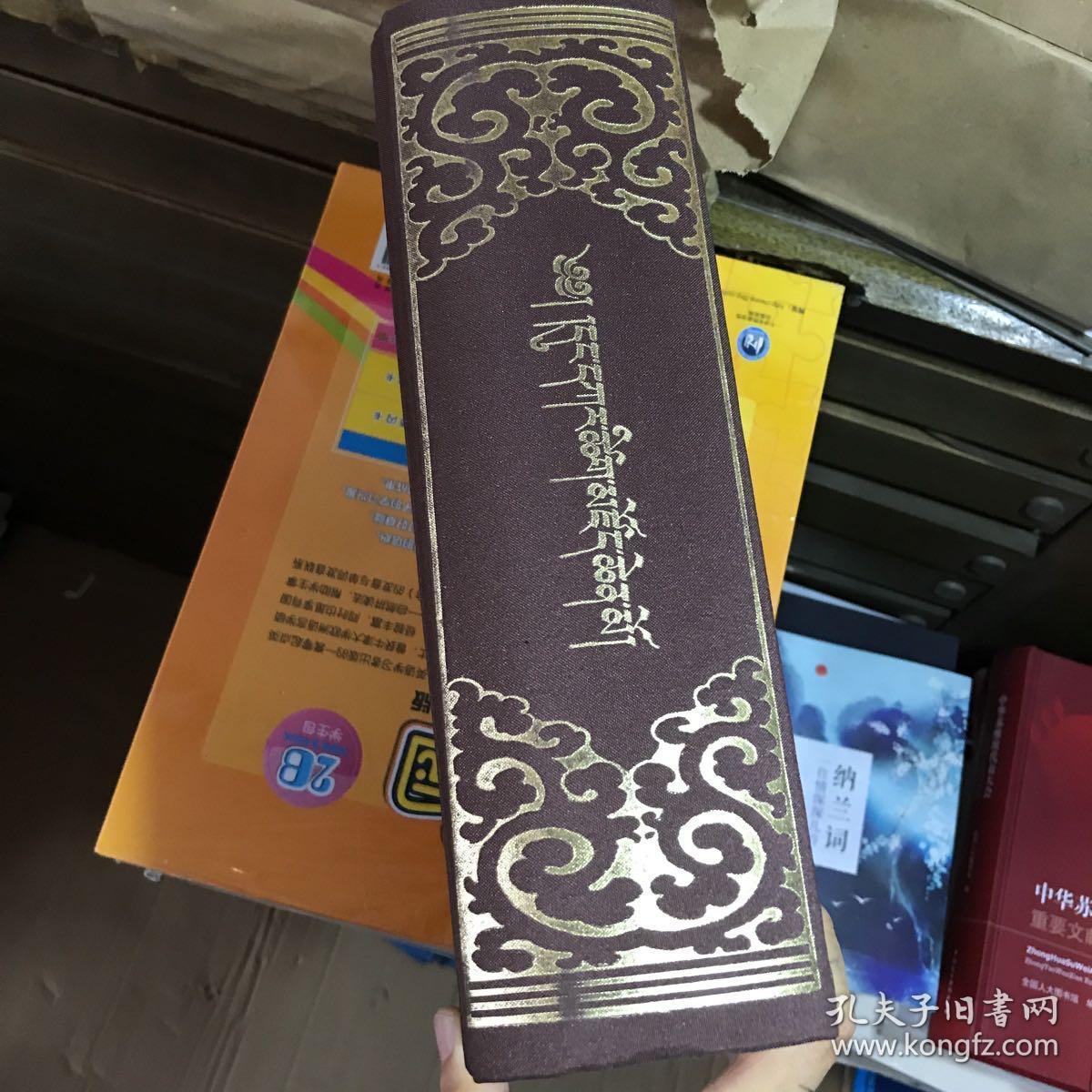 东噶藏学大辞典.(藏文)暇疵如图