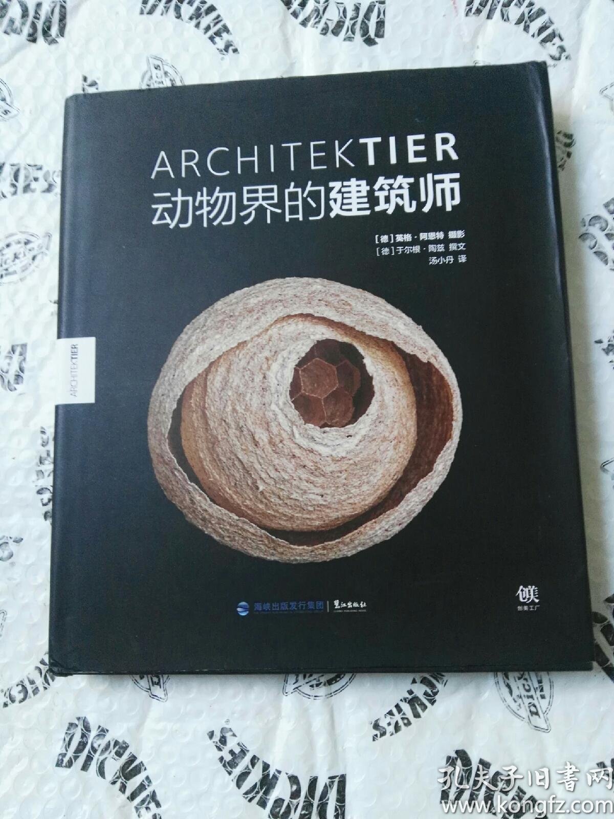 动物界的建筑师