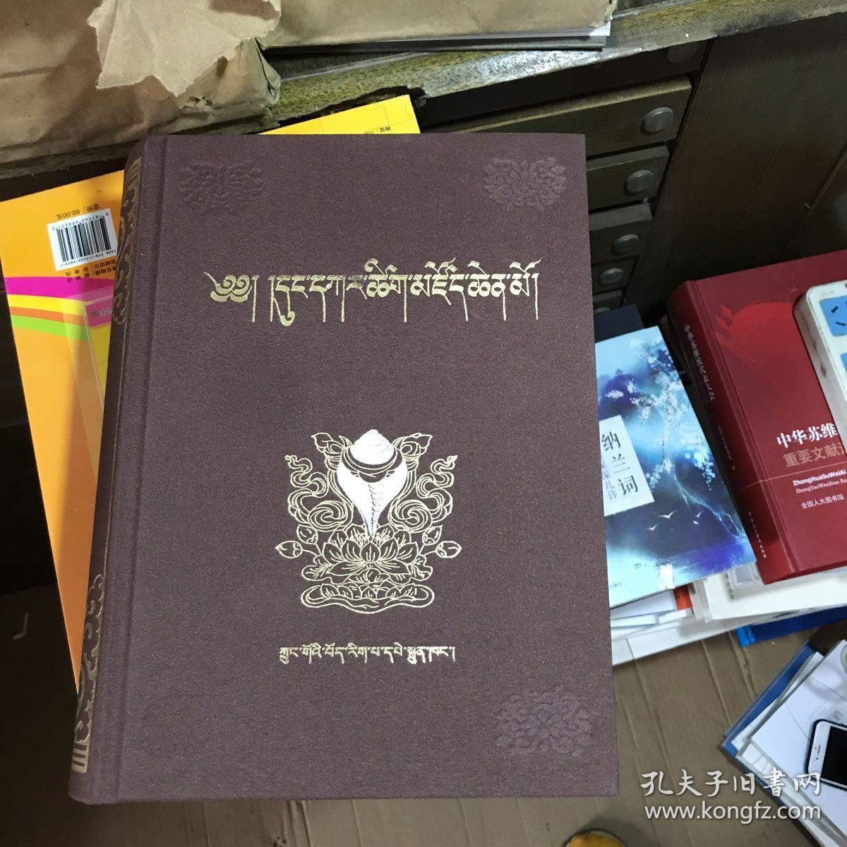 东噶藏学大辞典.(藏文)暇疵如图