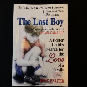 The Lost Boy：A Foster Child's Search for the Love of a Family