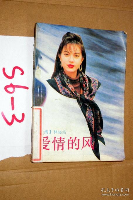 爱情的风.林晓筠著