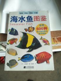 海水鱼图鉴：世界600种海水鱼饲养与鉴赏图典