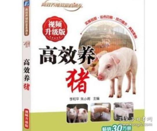 养猪技术大全ppt易游娱乐城- YY易游体育官方网站- 易游体育APP