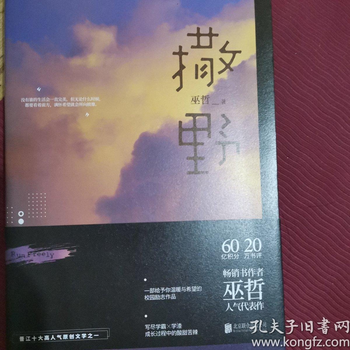 撒野(巫哲新书)