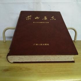 蒙山县志