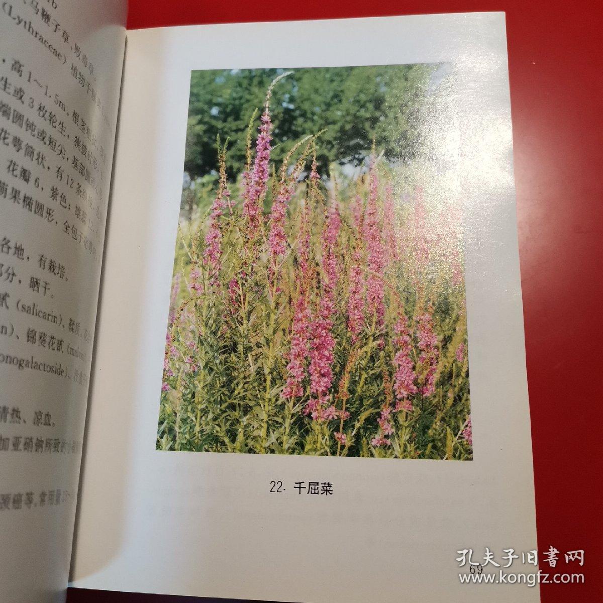 抗肿瘤中草药彩色图谱