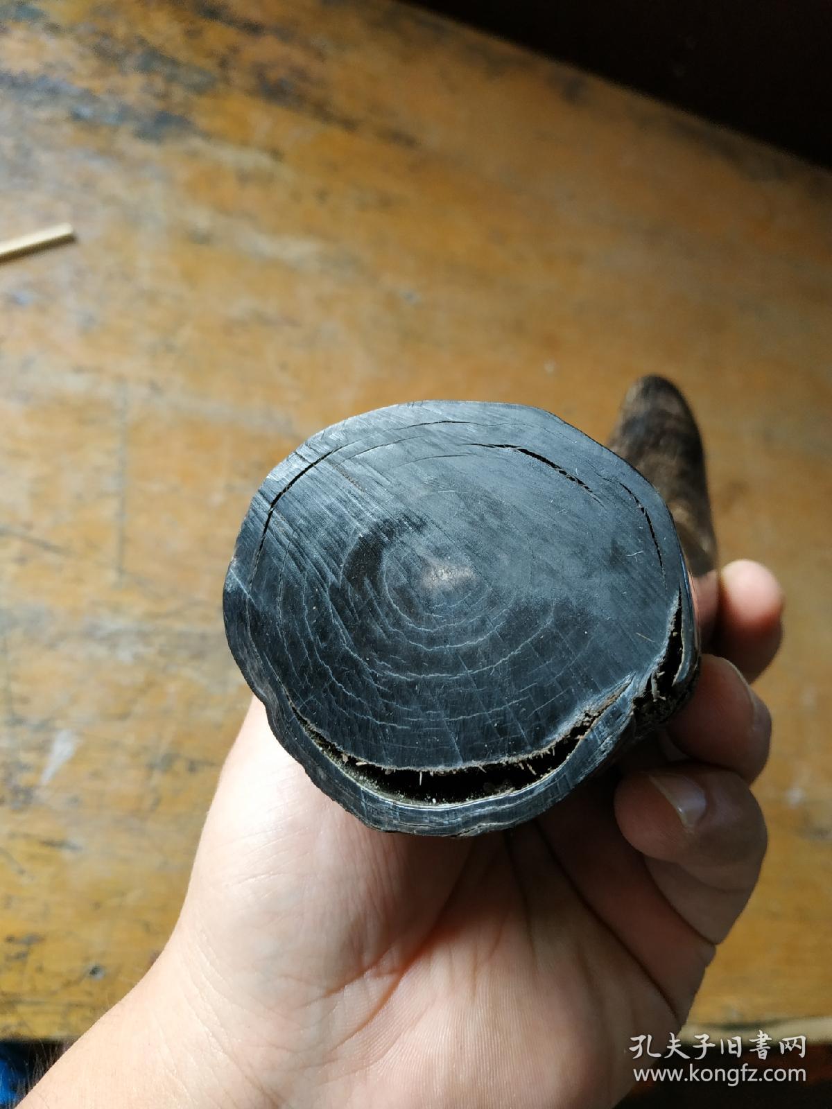 医家祖传清代老牛角,硕大之物长约16厘米 传世旧物,皮壳老辣,质地好