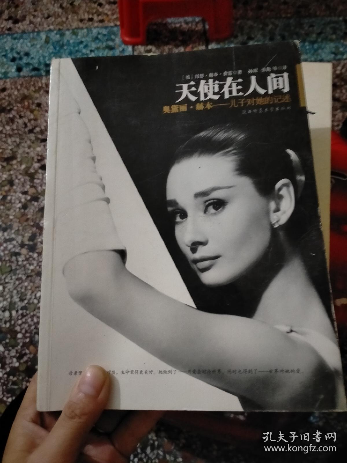 天使在人间:奥黛丽·赫本——儿子对她的记述