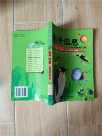 中国自然百科全书 电子信息 拓展视听空间【馆藏】.