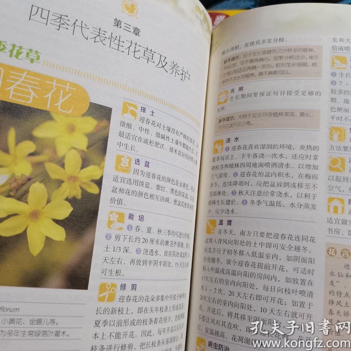 家庭养花和阳台种菜全书 孔夫子旧书网