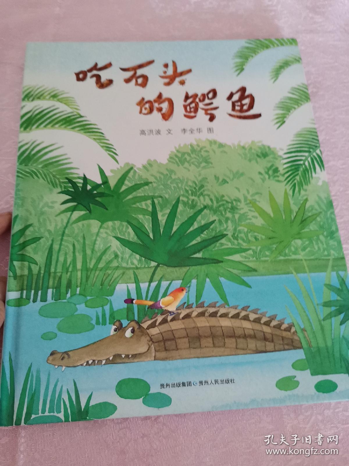 高洪波趣味动物童诗绘本吃石头的鳄鱼扉页有一处笔痕卧室小柜子存放