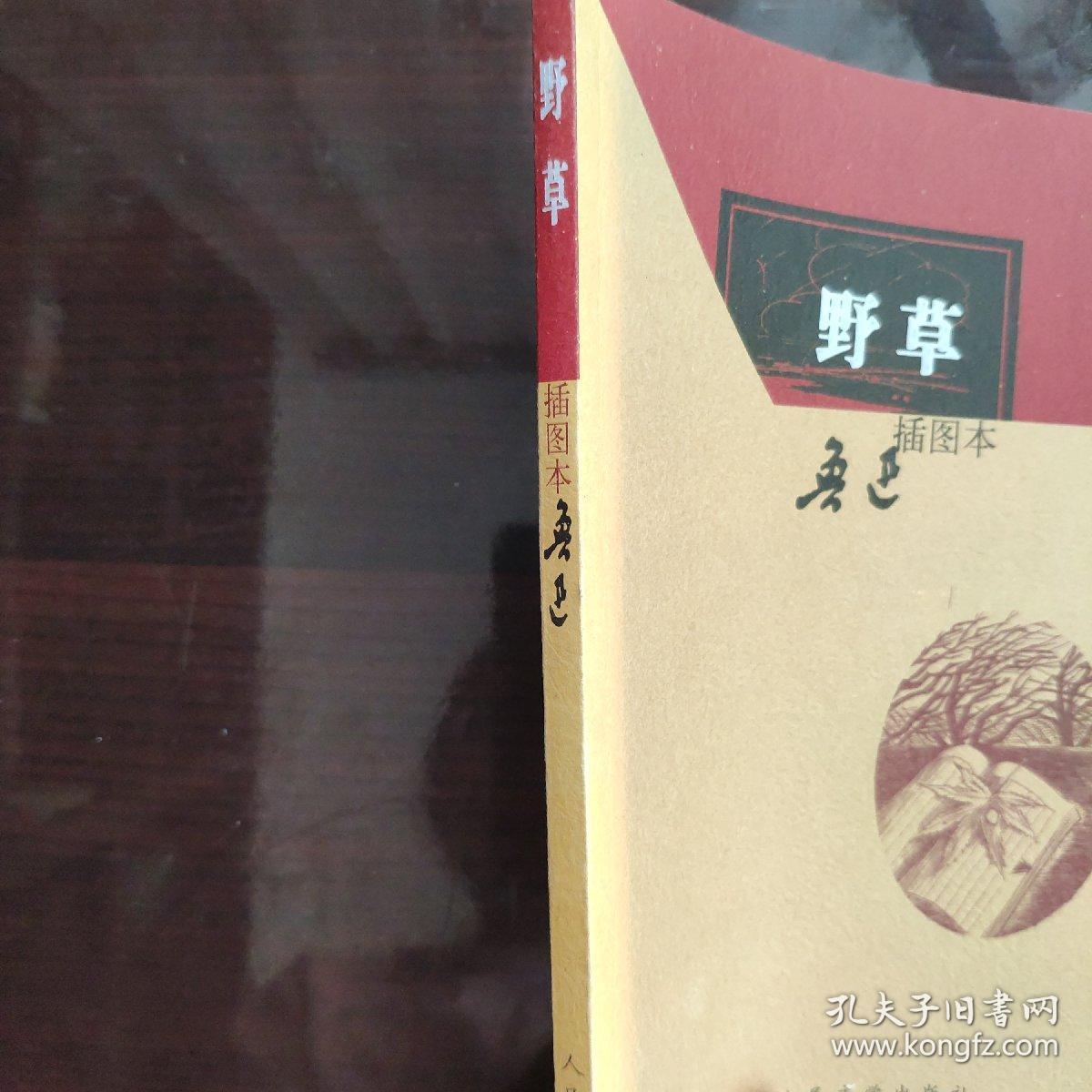 野草:野草(插图本)