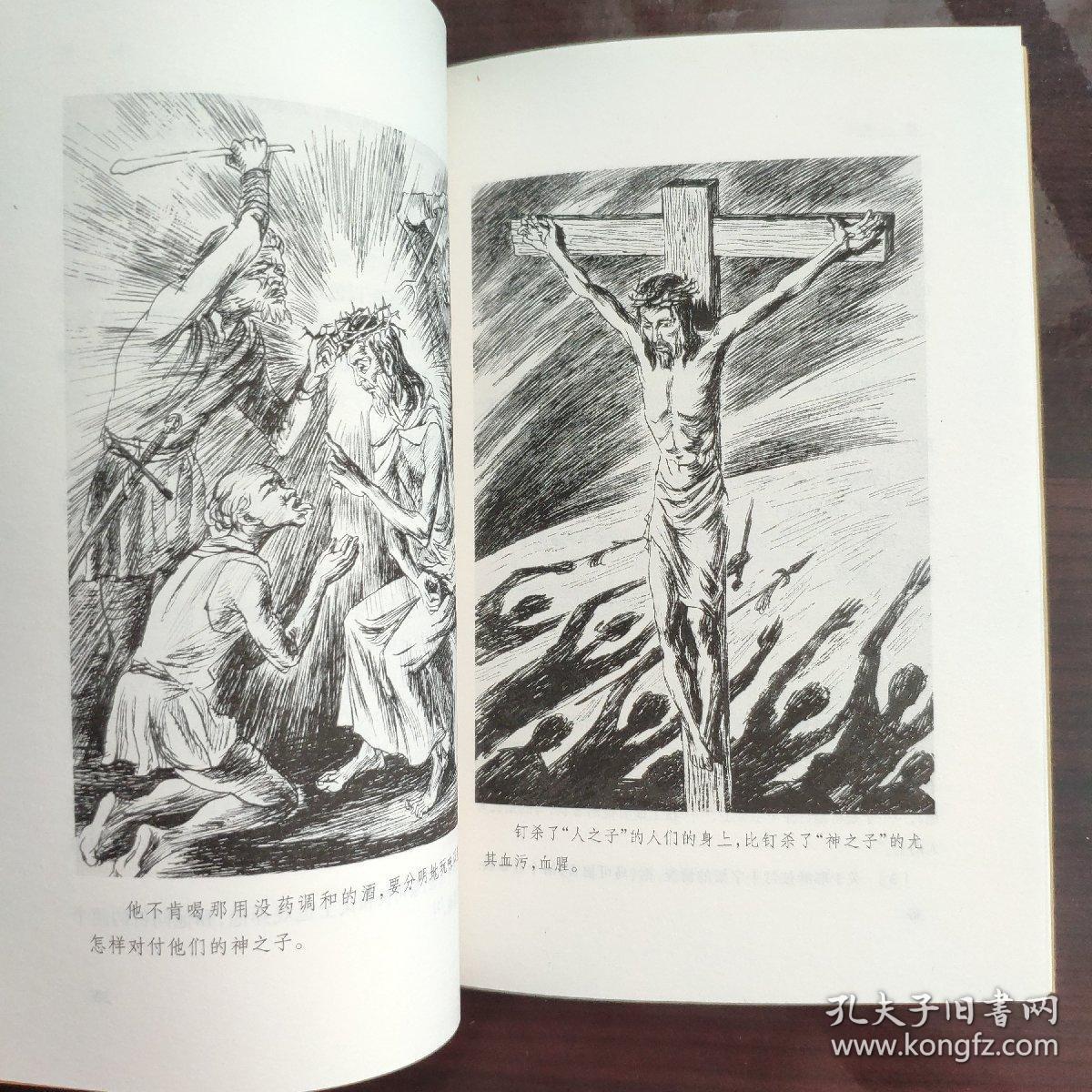 野草:野草(插图本)