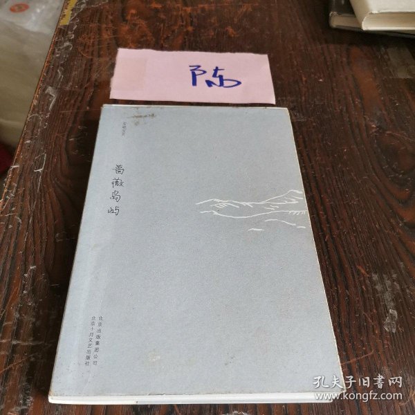 蔷薇岛屿安妮宝贝十年修订典藏文集