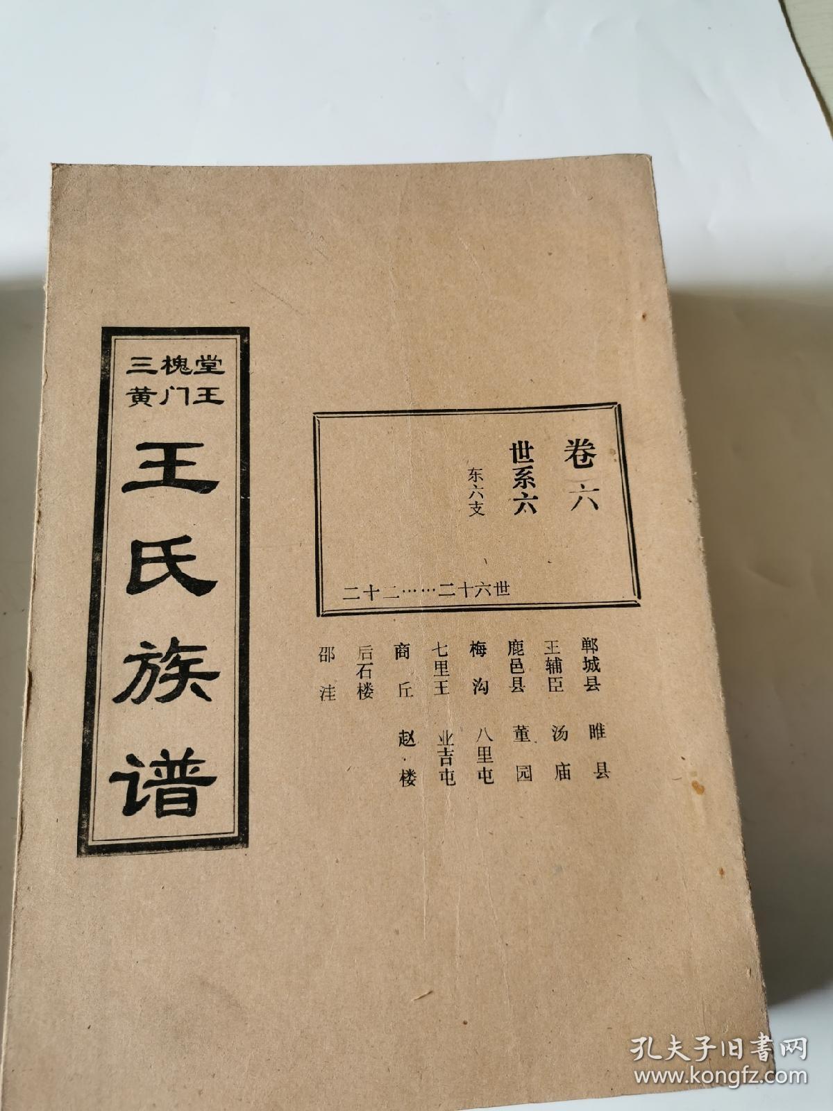 三槐堂黄门王王氏族谱共13卷天卷2册早期影印如图