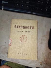 中国农作物病虫图谱 第一分册
