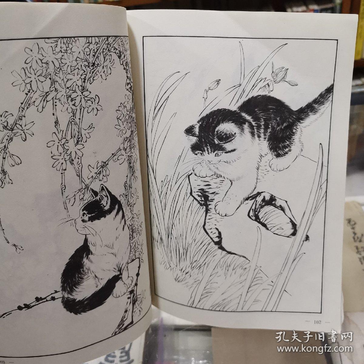 百猫谱 16开本 1997年1版1印本 非馆藏