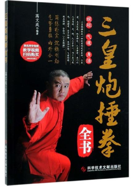 梅花桩柳叶双刀咏春拳查拳南拳螳螂拳铁布衫鹰爪功洪拳通背三皇炮捶心