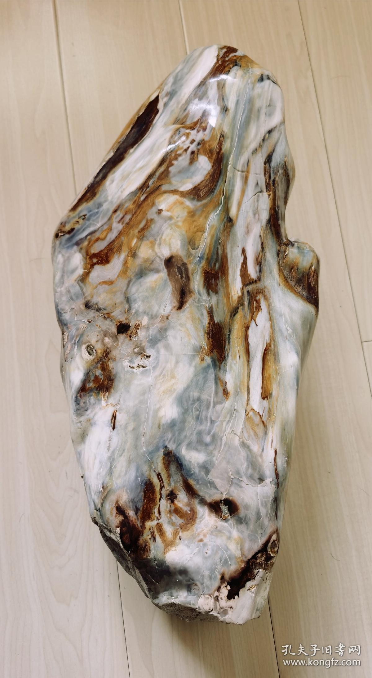 缅甸树化玉原石大摆件