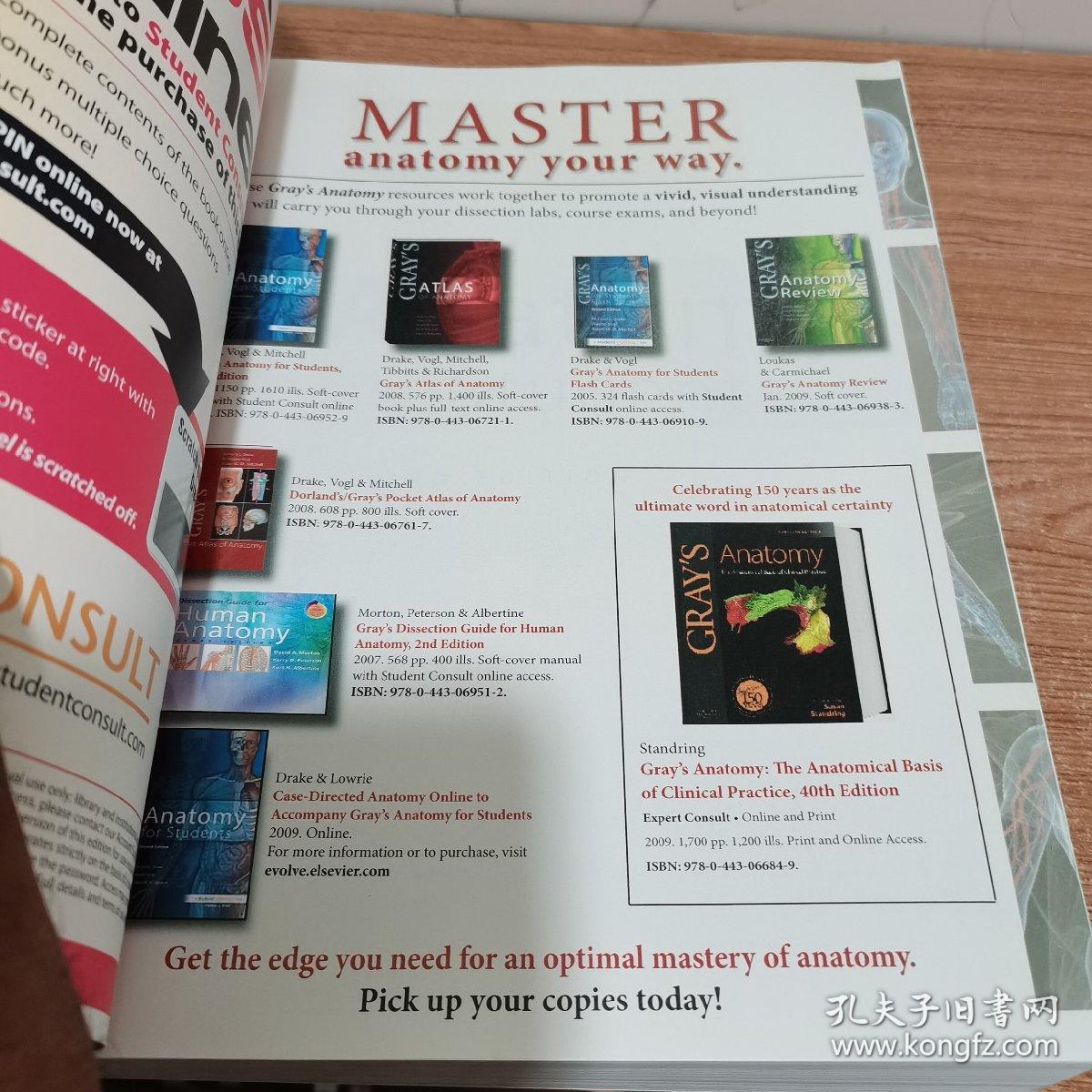 graysanatomyforstudents