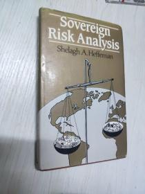 英文原版 Sovereign Risk Analysis 主权风险分析