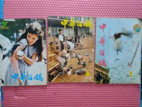 中华信鸽1987（8、9期）1992年1期，3本合售。
