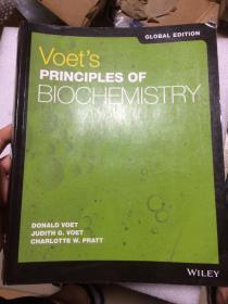 现货 Voet's Principles of Biochemistry  英文原版 生物化学原理 基础生物化学 D.沃伊特（Donald Voet）