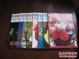 《中国花卉盆景》24本合售：2008年第10期；2009年第2、6、8、12期；2010年第10期，2011年第1、4、5、6、9、12期，2012年第2、5、6、7、8、9、10、11期，2013年第5、6、9、10期