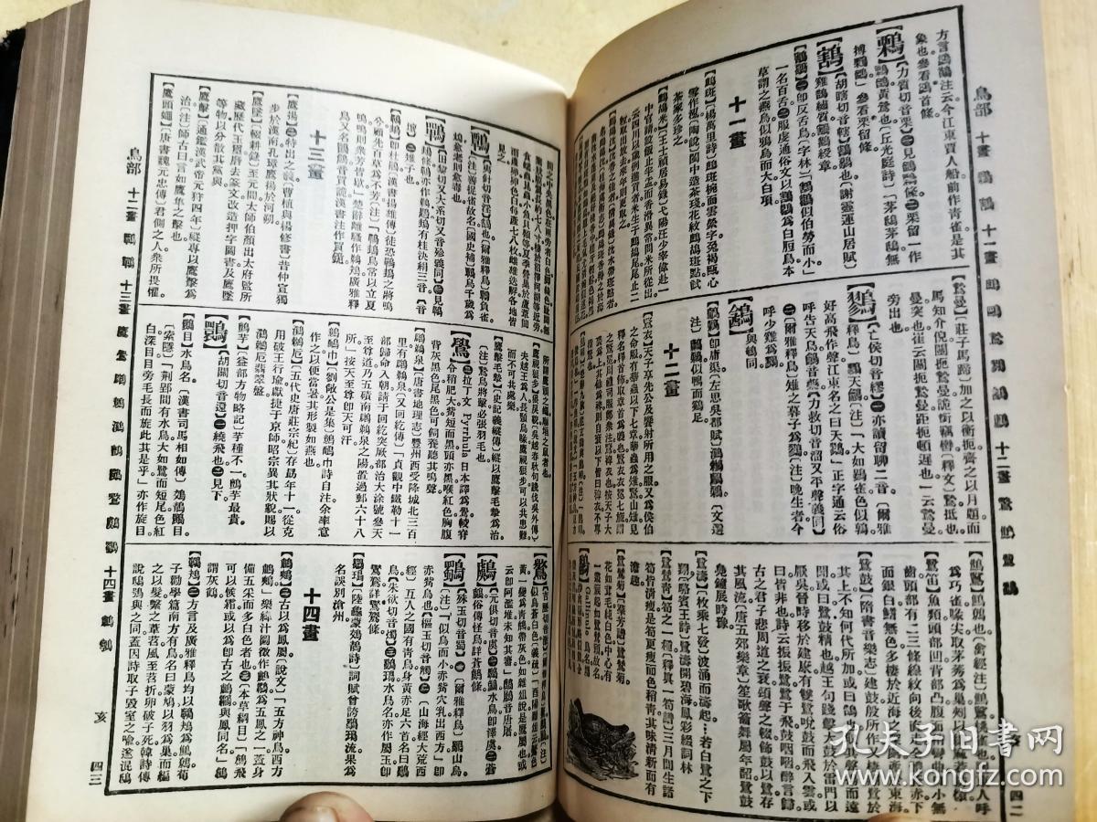 辞源上下册辞源续编戊种本民国22年初版三册全