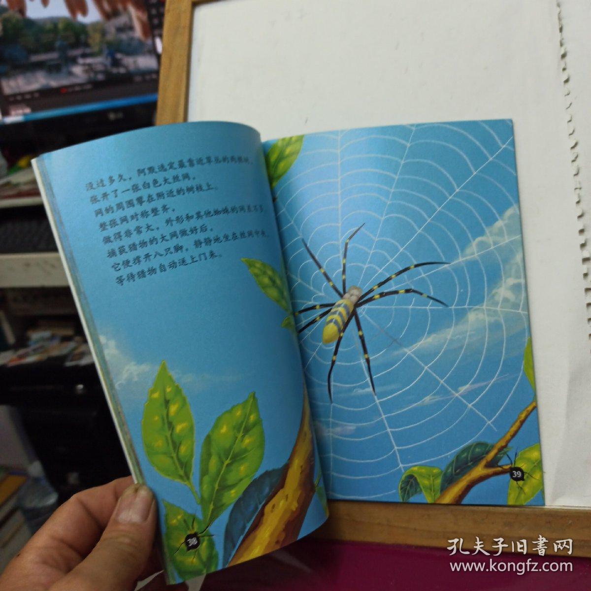 捕蝇蜂合格的母亲彩绘美图版法布尔昆虫记绘本