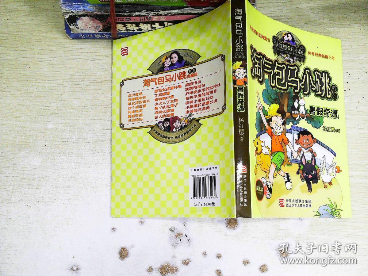 杨红樱淘气包马小跳系列:暑假奇遇(典藏版)