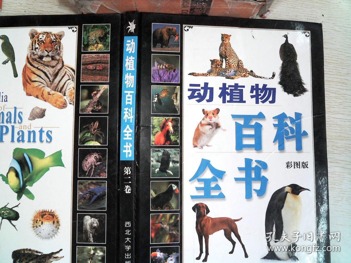 动植物百科全书:彩图版 第二卷