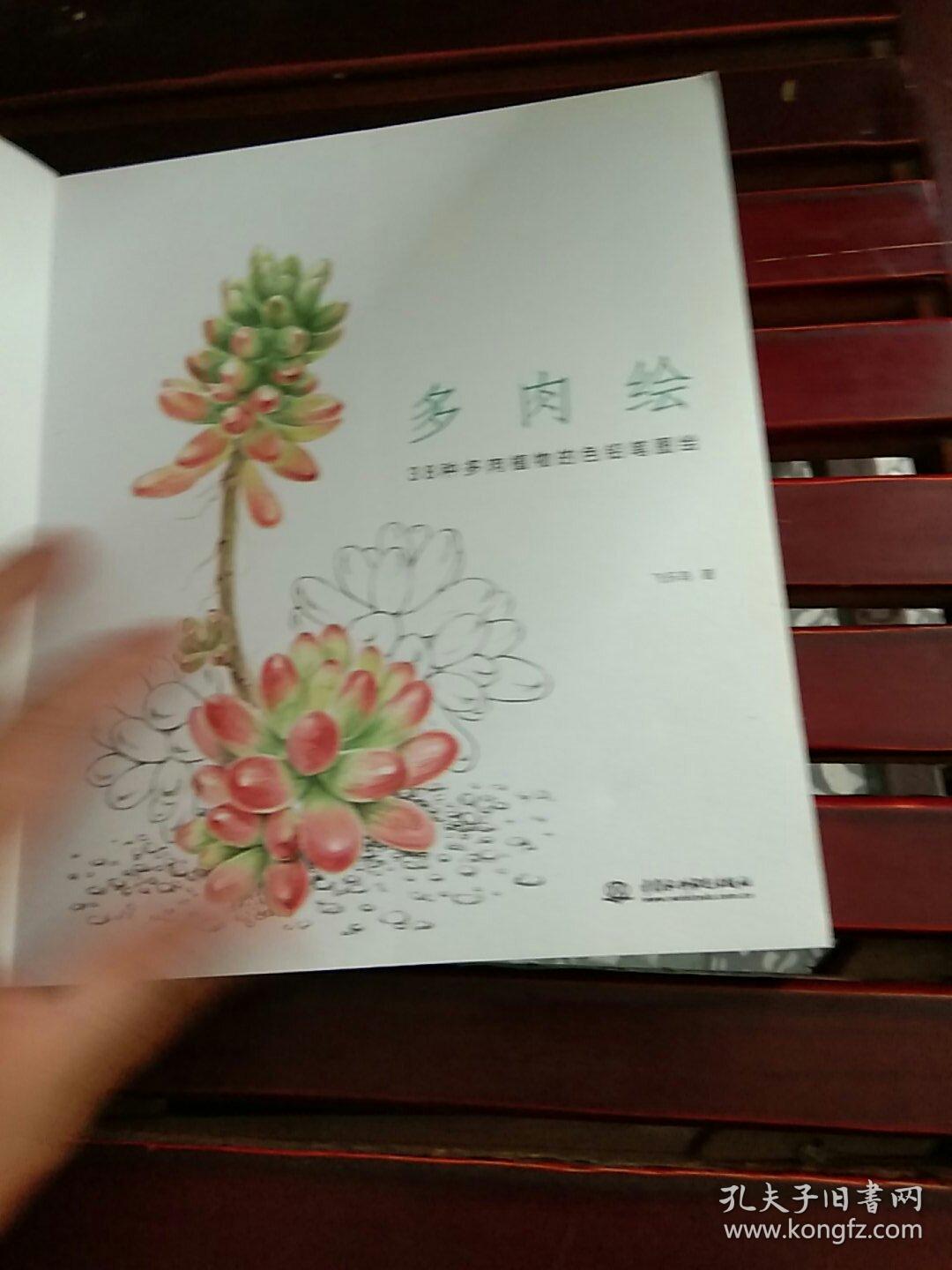 多肉绘 38种多肉植物的色铅笔图绘 孔夫子旧书网 多肉绘 38种多肉植物的色铅笔图绘 孔夫子旧书网
