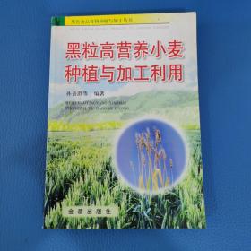 黑粒高营养小麦种植与加工利用黑色食品作物种植与加工丛书