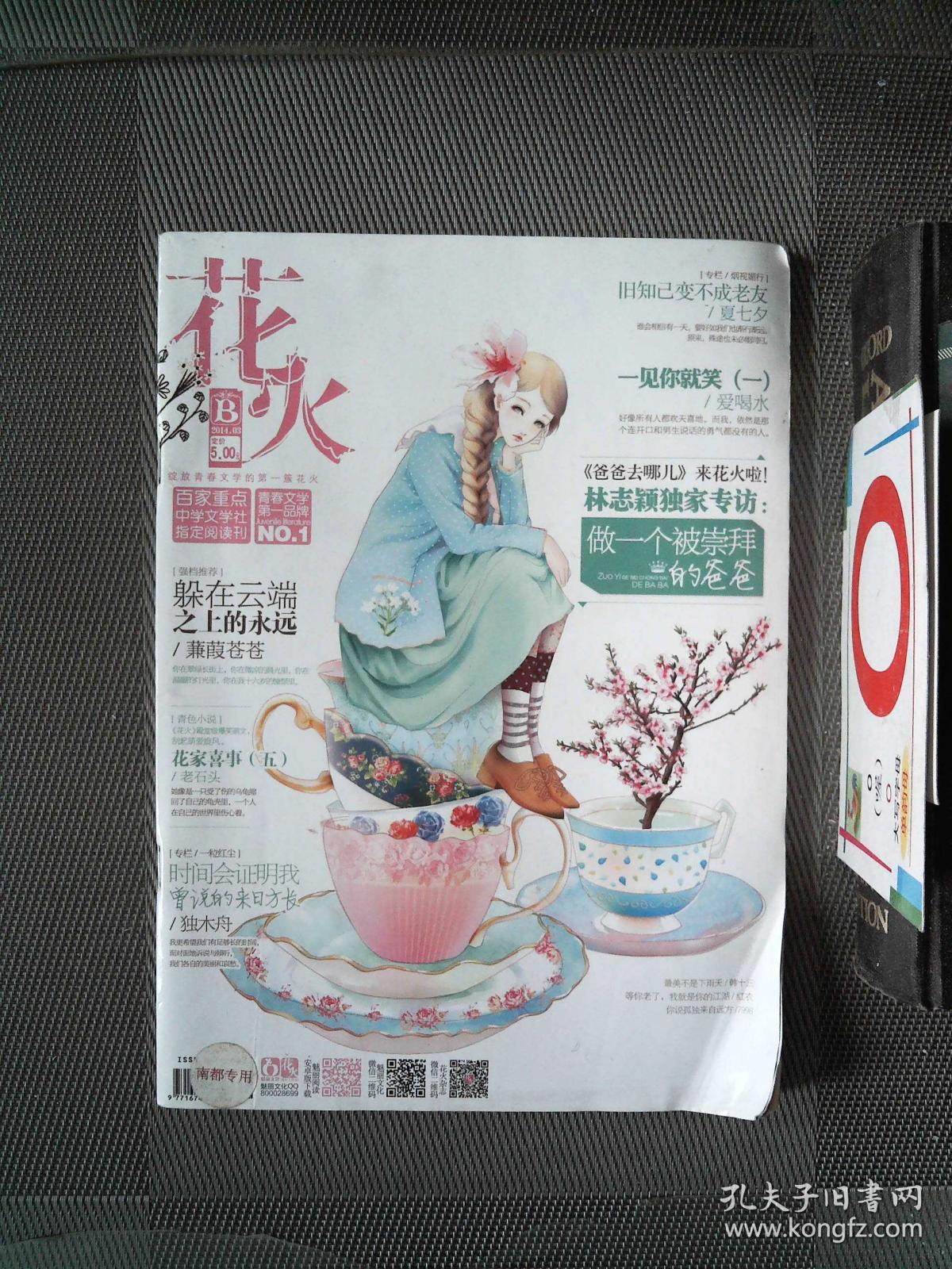 03b_花火杂志社_孔夫子旧书网