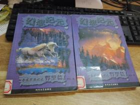 幻想纪元：赤龙军战记 之 野望篇（上下）