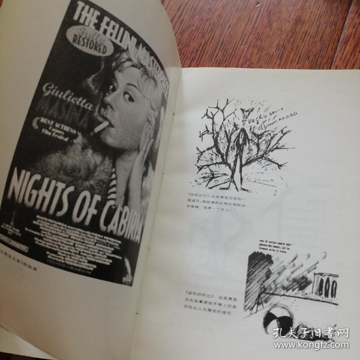 我是说谎者:费里尼的笔记