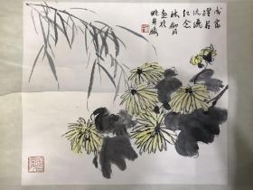 著名书法家林剑丹先生菊花图 46x41cm 林先生竹兰多见，菊花少见