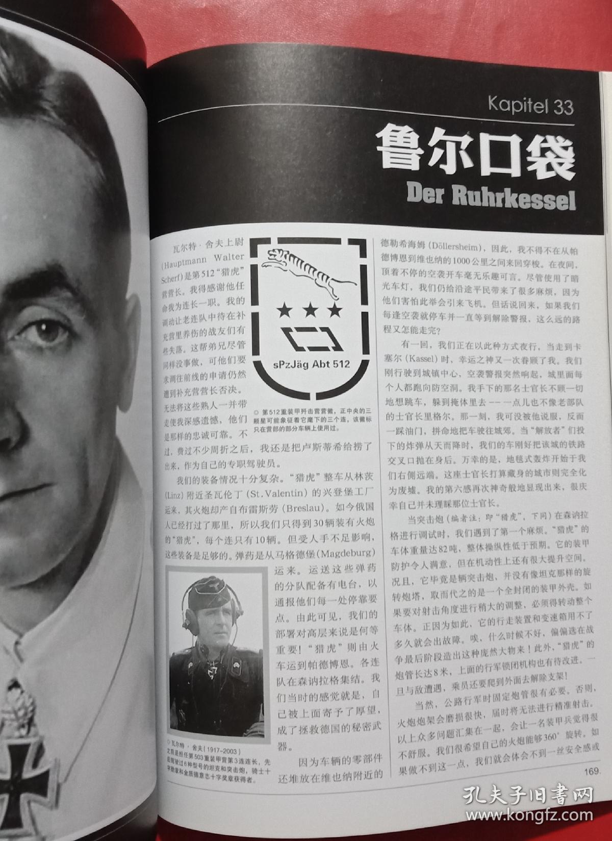 泥泞中的老虎:德国陆军装甲王牌奥托·卡里乌斯自传